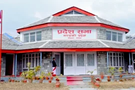 गण्डकी सरकार बिरूद्व पुन: रिट दर्ता