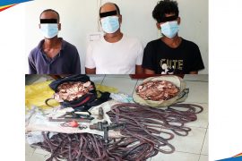 छ लाख बराबरको तामासहित ३ जना पक्राउ