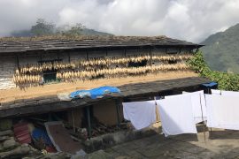 मकै भण्डारको तरिका