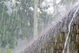 मुग्लिन–नागढुंगा सडकखण्डमा खसेको पहिरो हटाइएपछि आवागमन पुनः सञ्चालन, नारायणगढ–मुग्लिन सडकखण्ड भने तुइन खोलामा खसेको पहिरोका कारण एकतर्फी मात्र सञ्चालनमा, सडक डिभिजनले यात्रुहरूलाई विशेष सतर्कता अपनाउन र अत्यावश्यकबाहेकको यात्रा नगर्न आग्रह