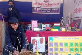 व्यापारभन्दा माथि उठ्दै शिक्षा, सीप र संस्कृतिको उत्सव बनेको नवौँ वालिङ महोत्सव