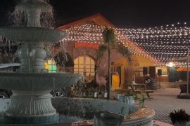 टाइगर फरेष्ट होटल प्रालीको नयाँ अवधारणा,बाह्रसिङ्गे बियर गार्डेन आगन्तुकको मुख्य आकर्षण