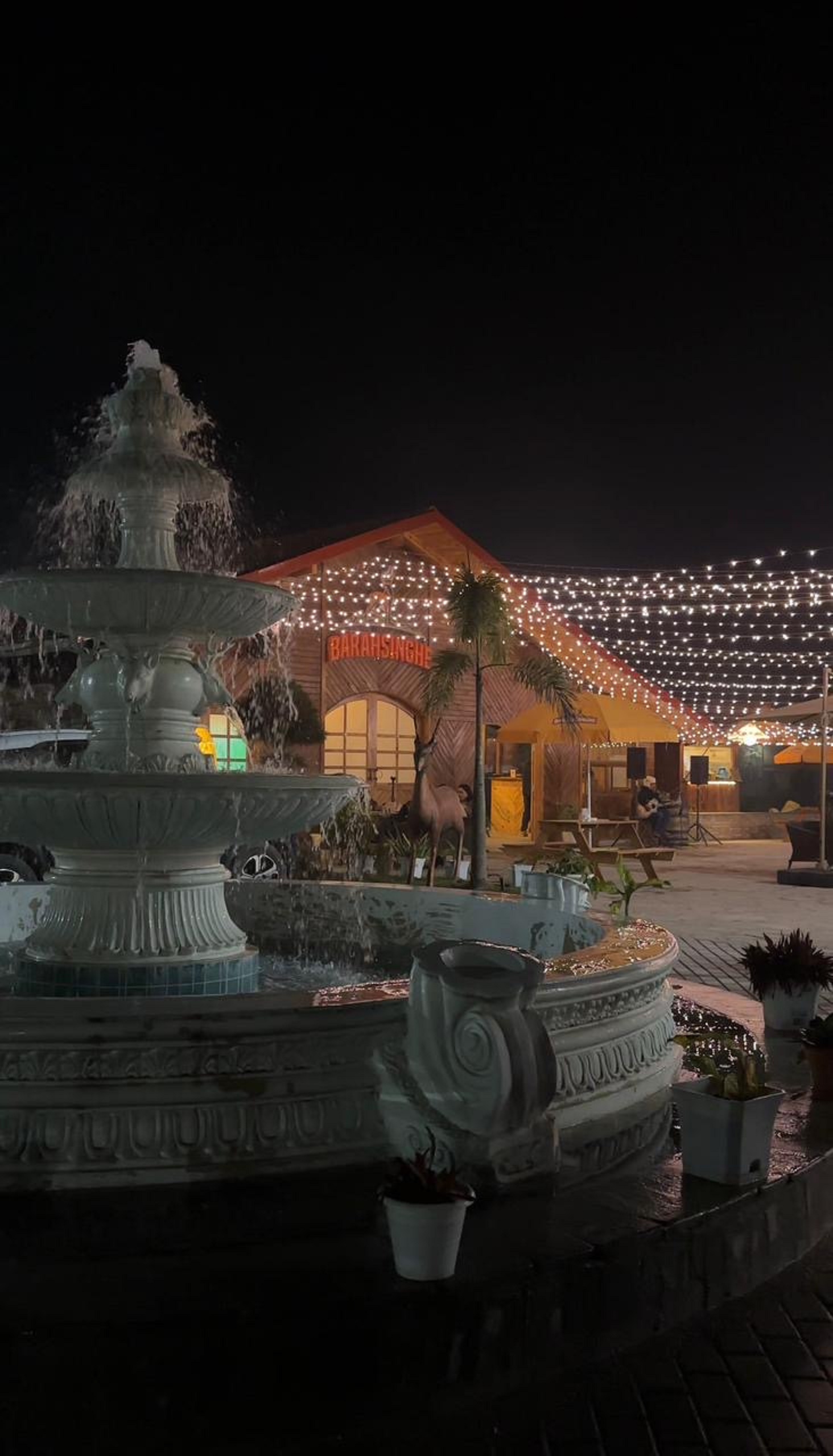  टाइगर फरेष्ट होटल प्रालीको नयाँ अवधारणा,बाह्रसिङ्गे बियर गार्डेन आगन्तुकको मुख्य आकर्षण