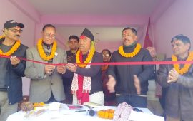 कांग्रेसमा युवा आकर्षण बढ्दो, कास्कीकोटमा चुनावी अभियान सशक्त