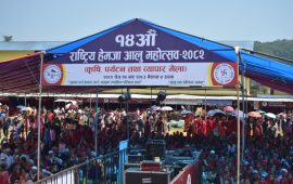 हेमजामा आलु महोत्सव सुरु: कृषि, संस्कृति र स्वादको मेला