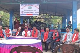 काँग्रेसको आधिकारिकता मुद्दामा डिएलए केन्द्रीय नेतृत्वलाई तटस्थ रहन आग्रह