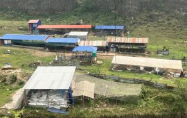 आइटी करियर त्यागेर गाई संरक्षणमा जुटे इञ्जिनियर कुँवर