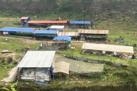आइटी करियर त्यागेर गाई संरक्षणमा जुटे इञ्जिनियर कुँवर