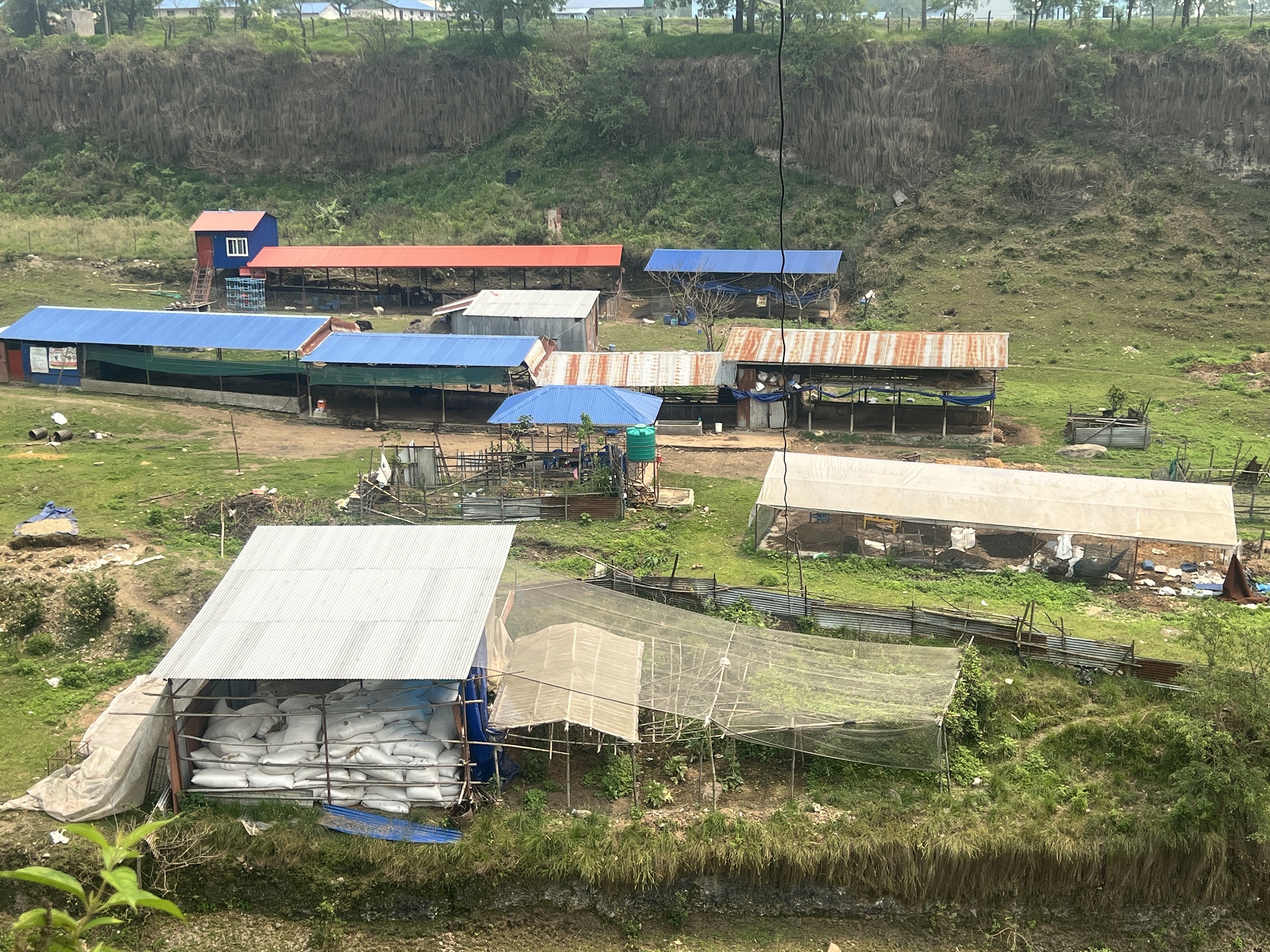  आइटी करियर त्यागेर गाई संरक्षणमा जुटे इञ्जिनियर कुँवर