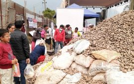 प्रकाश सपुतसहित चर्चित कलाकारको प्रस्तुतिसंगै आलु महोत्सव शनिबार समापन हुँदै