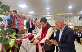 सरकार संविधानअनुसार चल्नुपर्छ : महामन्त्री पौडेल