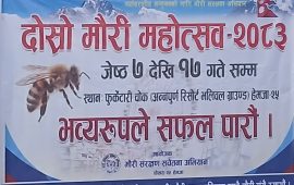 हेमजामा “दोस्रो मौरी महोत्सव” जेठ ७ देखि