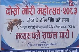 हेमजामा “दोस्रो मौरी महोत्सव” जेठ ७ देखि