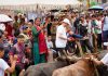  पोखरामा २१औँ रोपाइँ महोत्सव सम्पन्न, उत्कृष्ट दुई कृषक सम्मानित