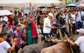 पोखरामा २१औँ रोपाइँ महोत्सव सम्पन्न, उत्कृष्ट दुई कृषक सम्मानित