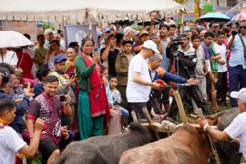 पोखरामा २१औँ रोपाइँ महोत्सव सम्पन्न, उत्कृष्ट दुई कृषक सम्मानित