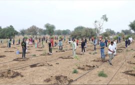 पोखरामा बृहत् वृक्षारोपण कार्यक्रम हुँदै, गण्डकीका सम्पूर्ण लायन्स क्लबलाई सहभागिताको आह्वान