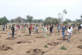 पोखरामा बृहत् वृक्षारोपण कार्यक्रम हुँदै, गण्डकीका सम्पूर्ण लायन्स क्लबलाई सहभागिताको आह्वान